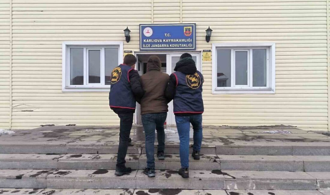 Bingöl’de jandarma ekiplerince gerçekleştirilen operasyonda, 7 suçlu hakkında kesinleşmiş hapis