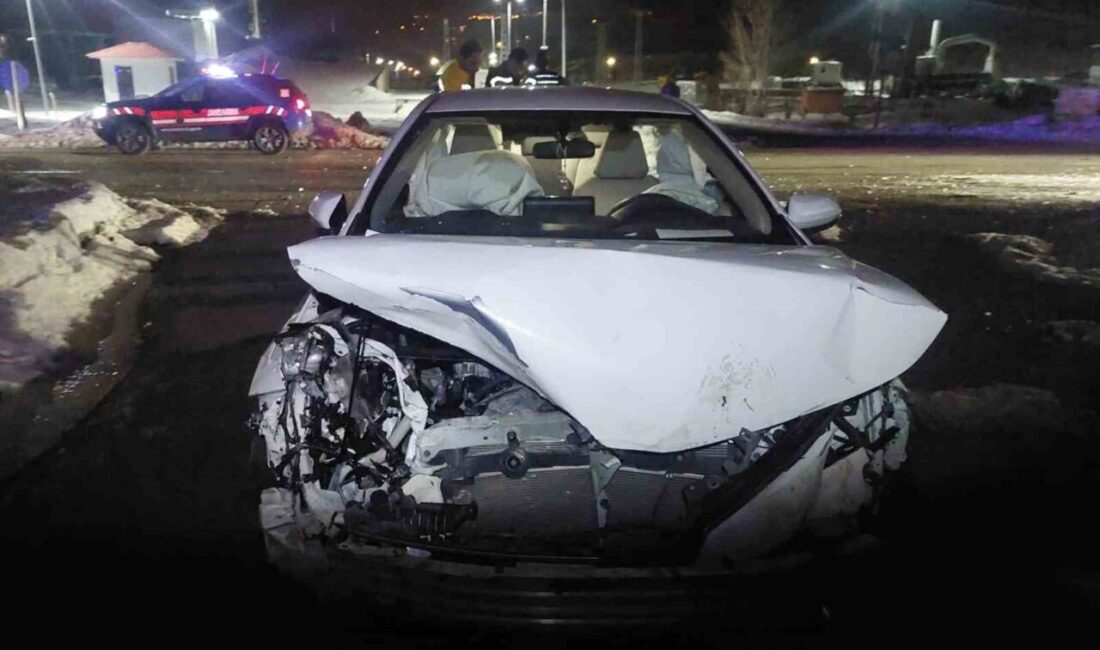 Bingöl-Muş karayolunda meydana gelen trafik kazasında, bir otomobilin domuz sürüsüne