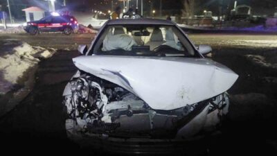 Bingöl-Muş karayolunda meydana gelen trafik kazasında, bir otomobilin domuz sürüsüne