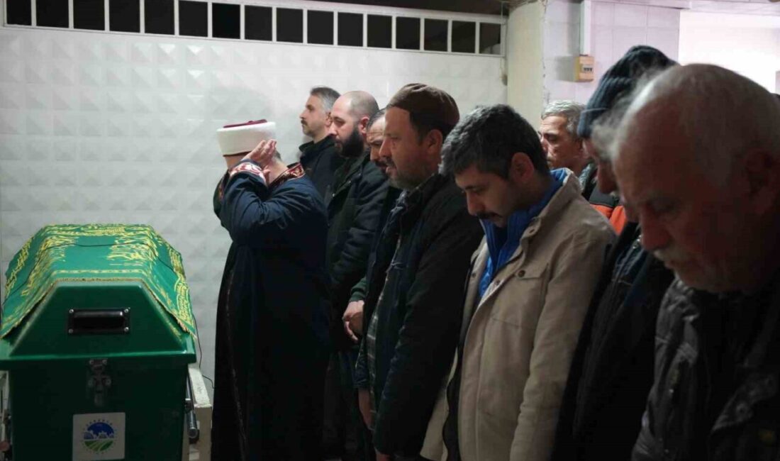 Bir tır sürücüsünün ölümüne neden olan kaza, Bulgaristan’ın Kapitan Andreevo
