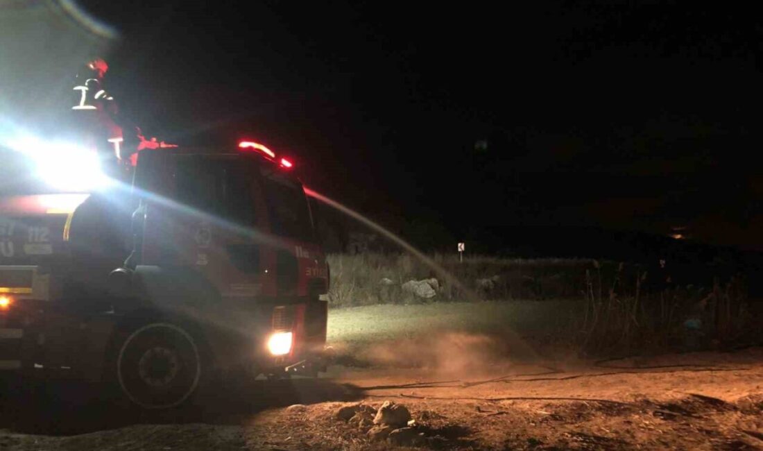 Bucak ilçesine bağlı Kestel köyünde sazlık alanda meydana gelen yangın,
