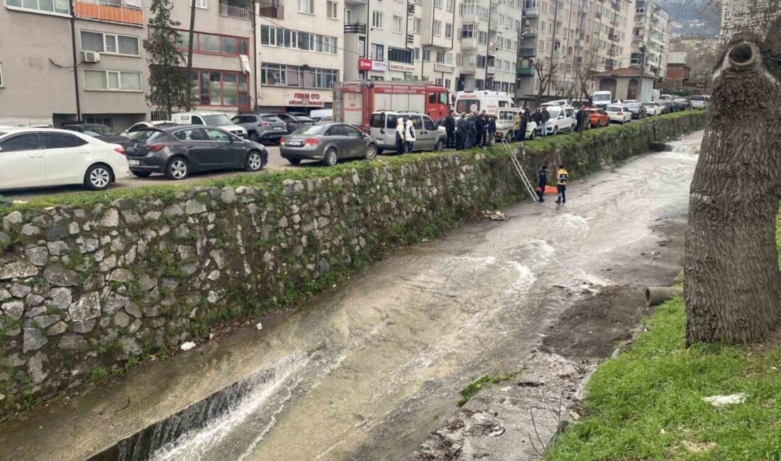 Bursa’nın Yıldırım ilçesinde dereye düşen 53 yaşındaki bir kişi hayatını