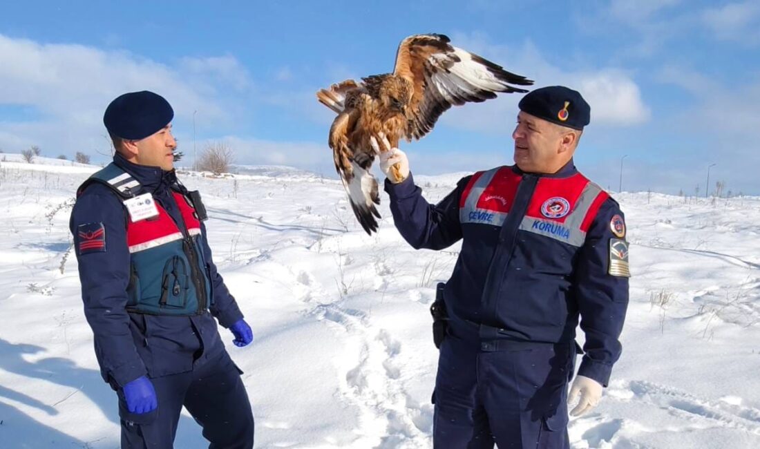Yozgat İl Jandarma Komutanlığına bağlı ekipler, sadece asayiş değil, doğal