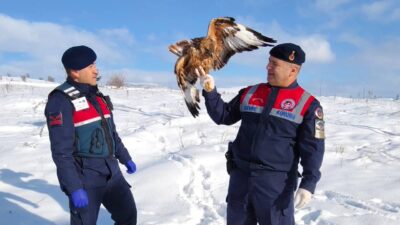 Yozgat İl Jandarma Komutanlığına bağlı ekipler, sadece asayiş değil, doğal