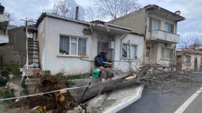 Çanakkale’nin Gelibolu ilçesinde meydana gelen şiddetli lodos fırtınası, bir ağacın