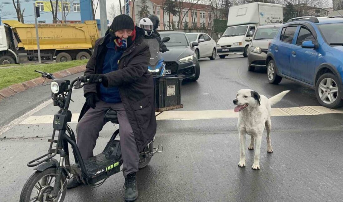 Çorlu ilçesinde Hıdırağa Mahallesi sakini Ergün Tunca, köpeği Karagöz’e olan