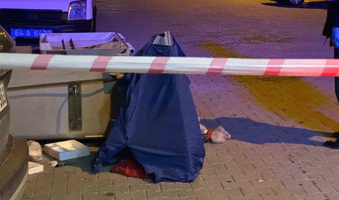 Uşak ilinde, Cumhuriyet Mahallesi’nde çöp konteynerinde poşet içinde terk edilmiş