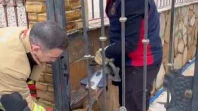 Samandağ ilçesinde, Deniz Mahallesi’nde bir binanın bahçe kapısındaki demir korkuluklara