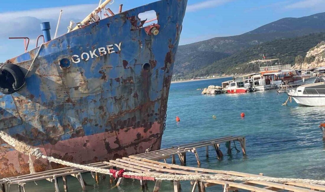 Demircili Sahili adıyla ünlenen ve korunan bir sit alanı olan
