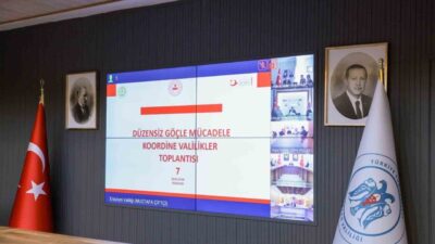 Erzincan Valisi Hamza Aydoğdu, düzenlenen Düzensiz Göçle Mücadele Koordinasyon Toplantısı’na
