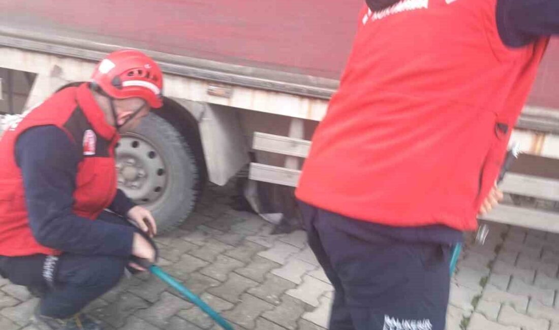 Edremit ilçesinde geri manevra yapan bir kamyonun altında kalan vatandaş,