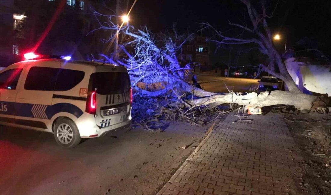 Ereğli ilçesinde sabah saatlerinde başlayan şiddetli rüzgarın etkisiyle, reklam tabelaları