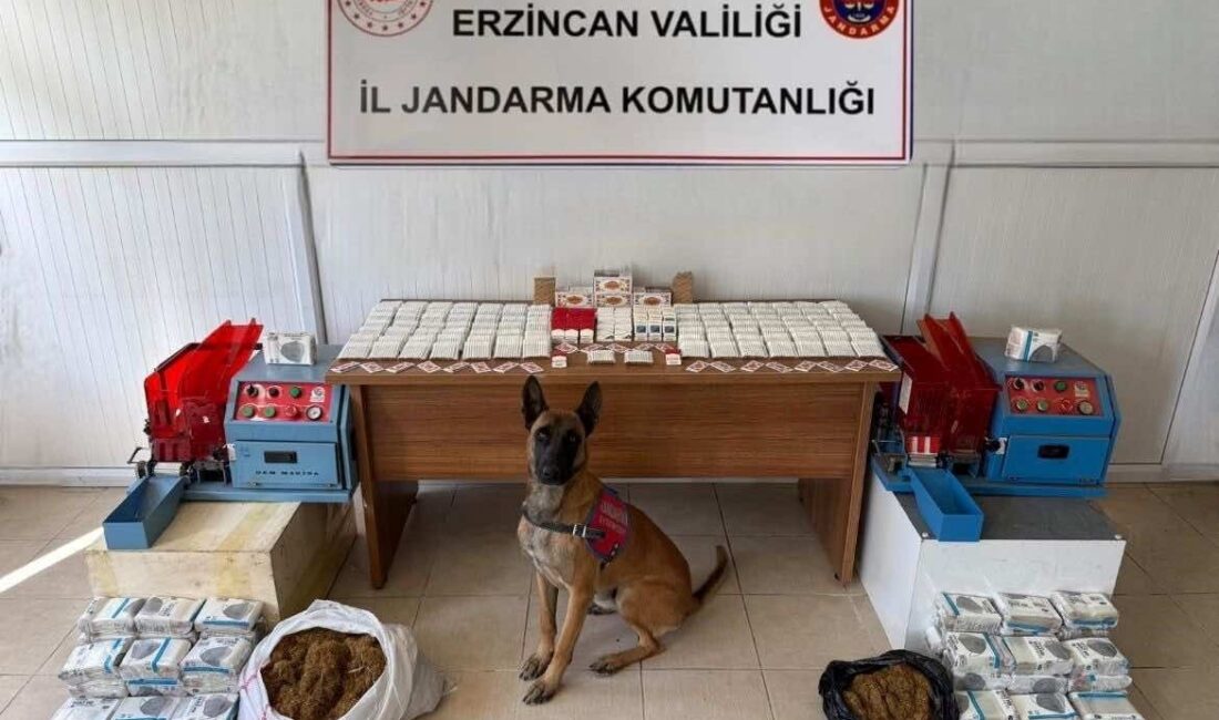 Erzincan İl Jandarma Komutanlığı, 2025 yılındaki faaliyetlerine ilişkin sonuçları paylaştı.
