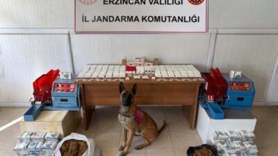 Erzincan İl Jandarma Komutanlığı, 2025 yılındaki faaliyetlerine ilişkin sonuçları paylaştı.