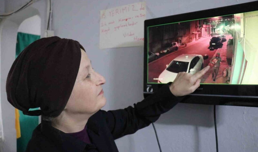 Adapazarı ilçesinde yaşanan olayda, 56 yaşındaki bir kadının bahçesinden çalınan