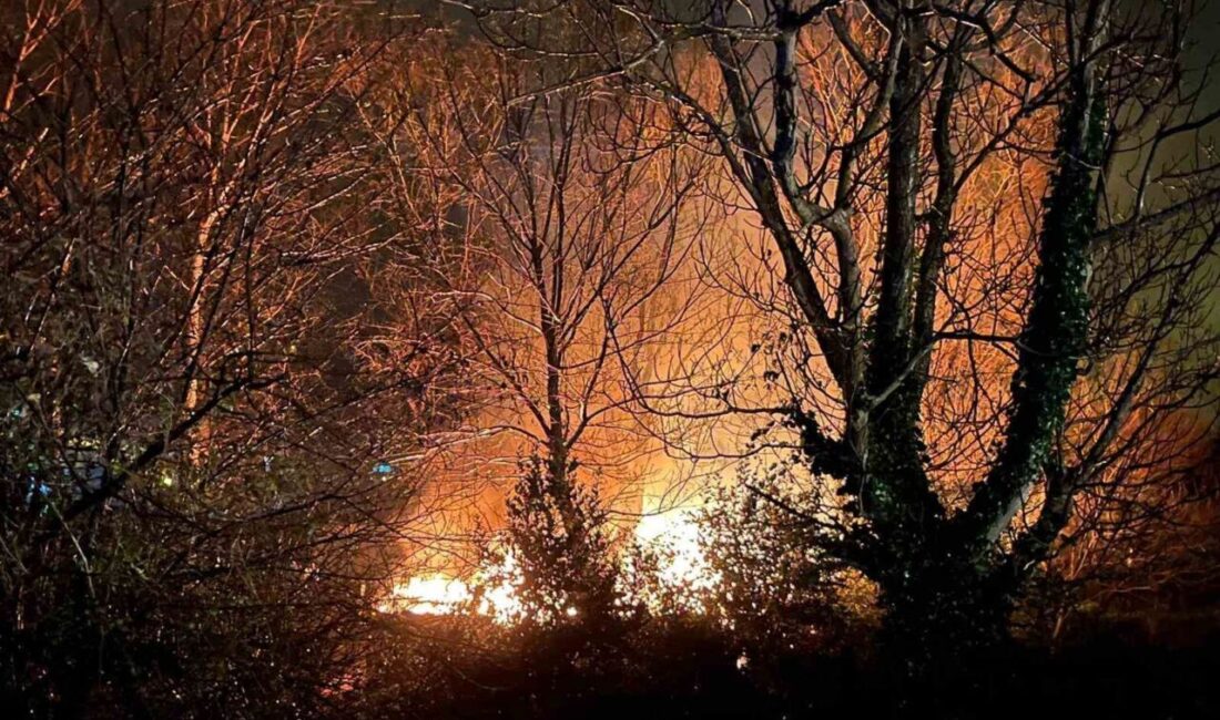 Zonguldak’ın Çaycuma ilçesine bağlı Filyos beldesinde ormanlık alanda yangın çıktı.