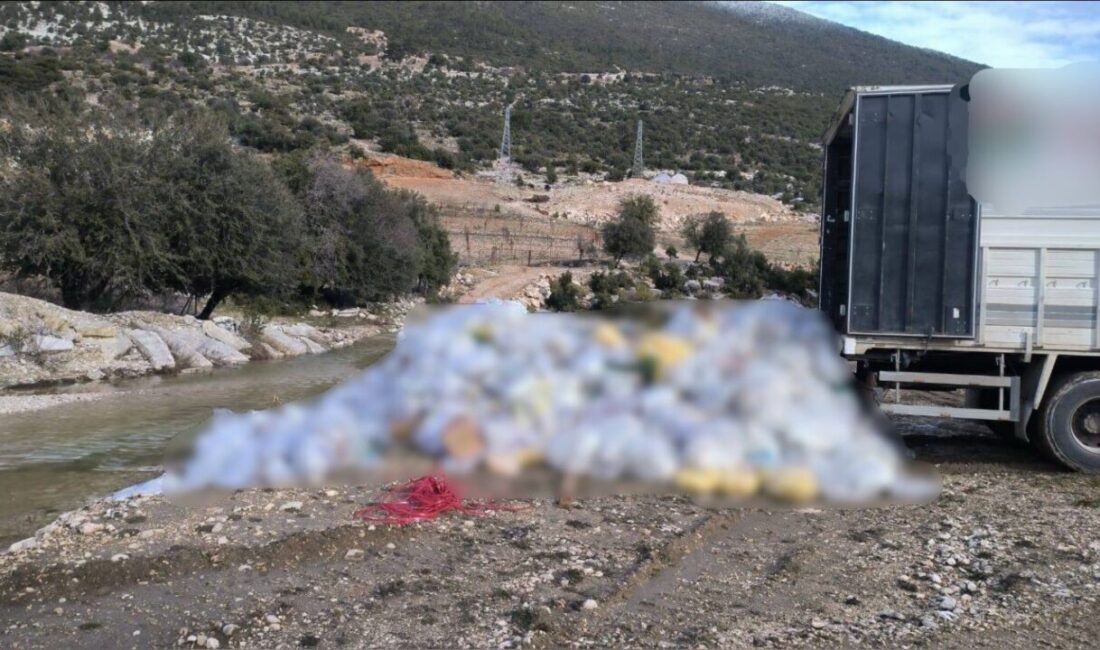 Finike ilçesine bağlı Yazır Mahallesi’nde, Antalya İl Jandarma Komutanlığı ekipleri