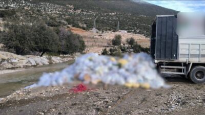 Finike ilçesine bağlı Yazır Mahallesi’nde, Antalya İl Jandarma Komutanlığı ekipleri