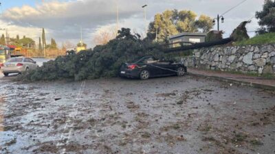 Kocaeli’nin Gebze ilçesinde şiddetli fırtına nedeniyle bir ağaç, cadde üzerinde