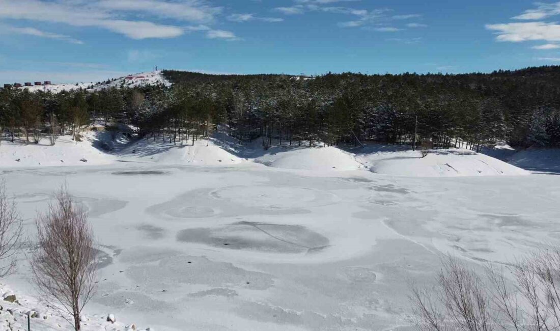 Yozgat’ta hava sıcaklığının sıfırın altına düşmesiyle donan 3 gölet havadan