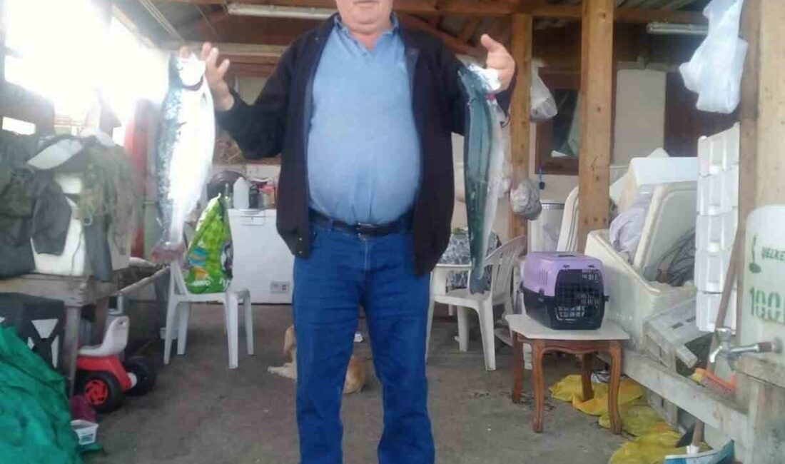 Görele ilçesinde, liman kavşağında hareketsiz bir şekilde bulunan bir kişi