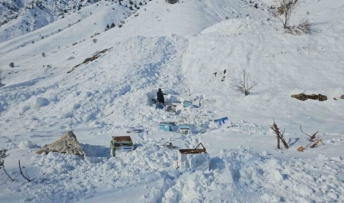 Hakkari-Van karayolundaki Erziki Köprüsü yakınında, 32 arı kovanı çığ altında