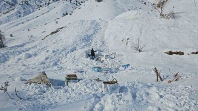 Hakkari-Van karayolundaki Erziki Köprüsü yakınında, 32 arı kovanı çığ altında