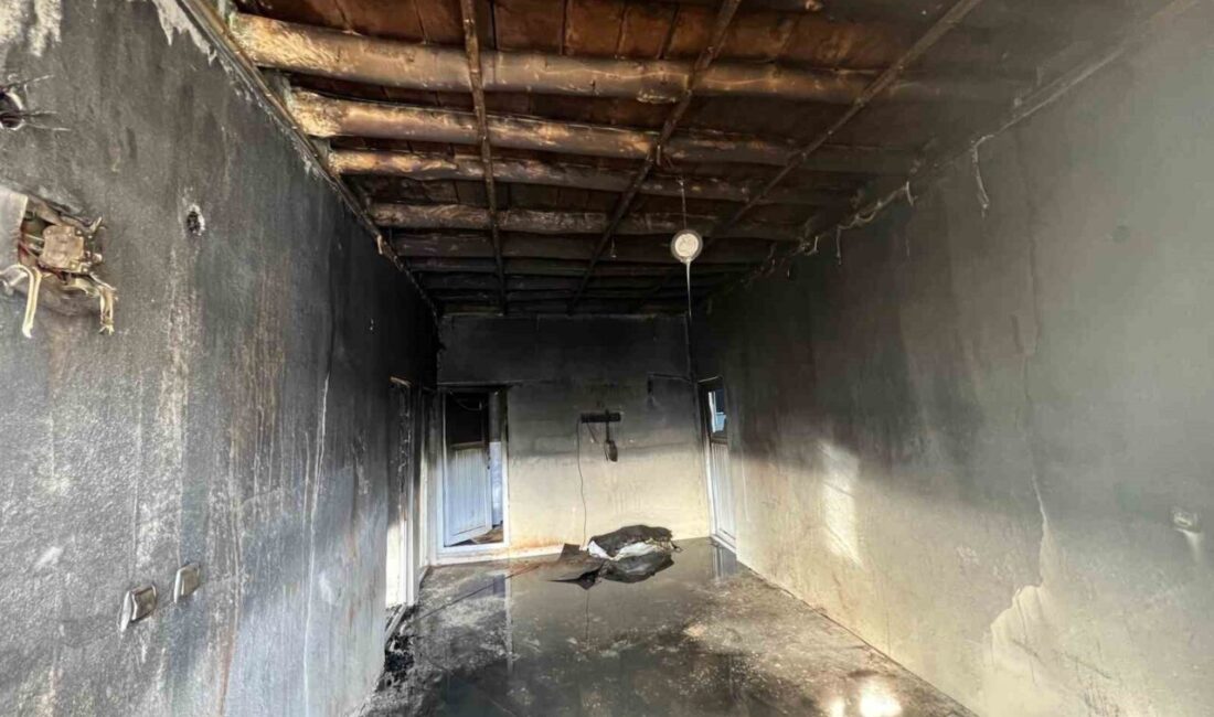 Hakkari’nin Derecik ilçesine bağlı Koryürek köyünde, Ayhan Taşsu’ya ait bir