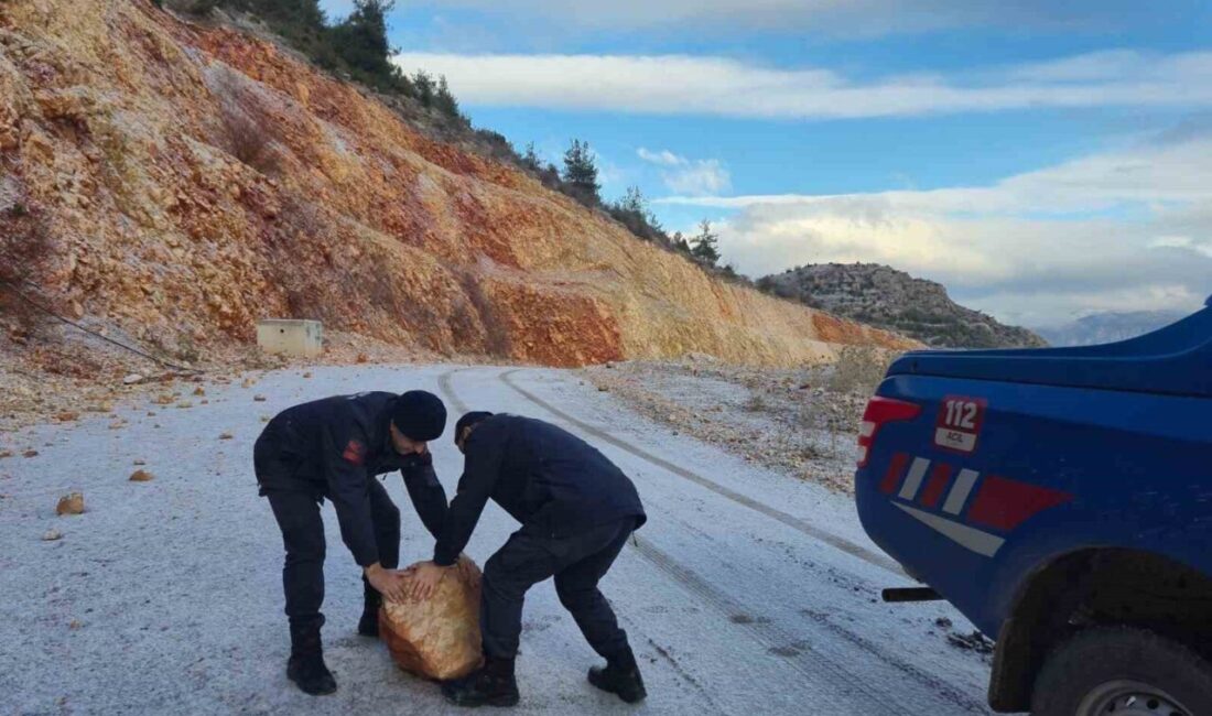 Bilecik’teki Harmankaya Tabiat Kanyonu, her gün yüzlerce ziyaretçiyi cezbeden eşsiz