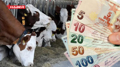 YOZGATTA TARIMSAL DESTEKLEMELERDE REKOR ÖDEME Yozgat İl Tarım ve Orman