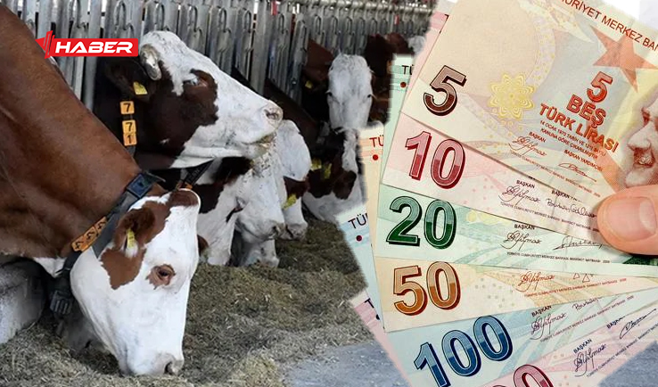 YOZGATTA TARIMSAL DESTEKLEMELERDE REKOR ÖDEME Yozgat İl Tarım ve Orman