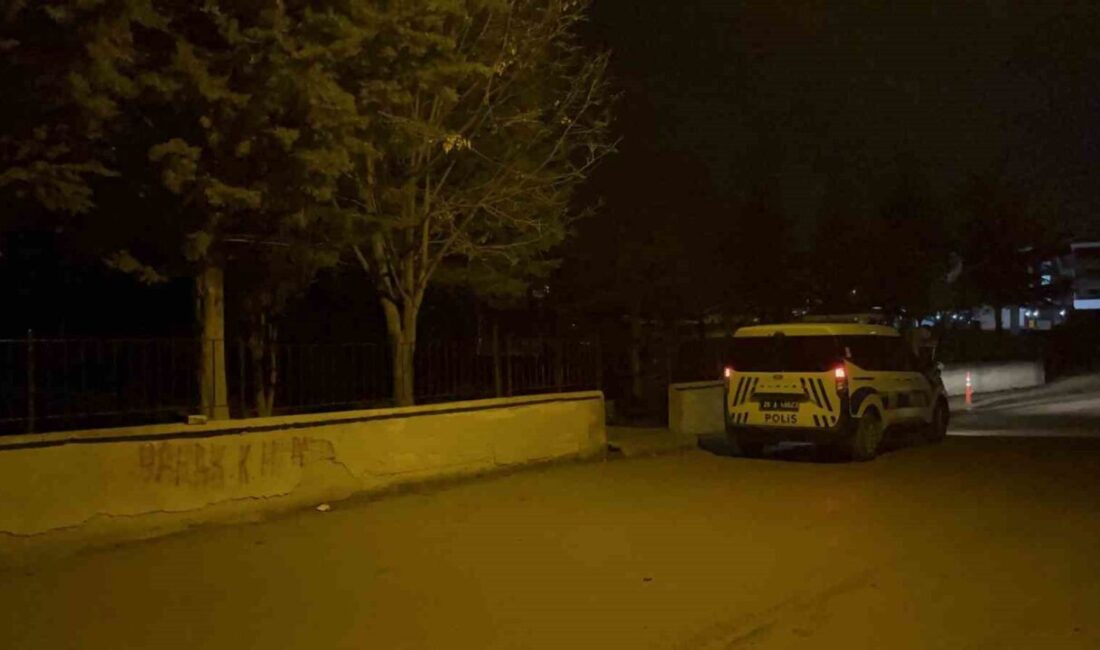 Eskişehir’de bir babayı darp eden ve 17 yaşındaki oğlunu bıçaklayan