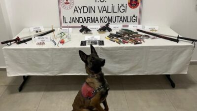 Aydın’ın İncirliova ilçesinde jandarma operasyonunda uyuşturucu ve silah bulundu. Aydın