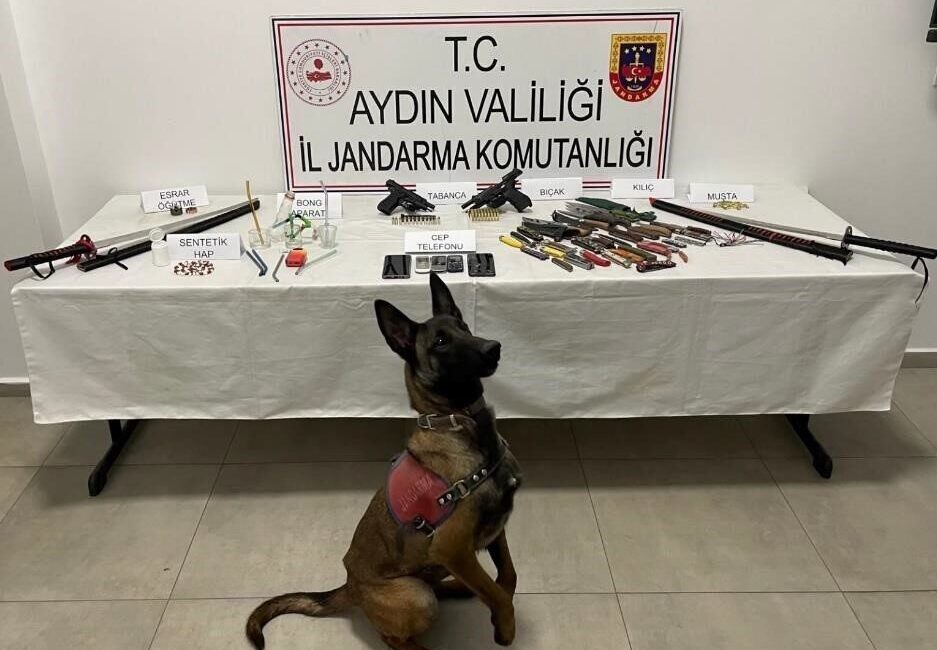 Aydın’ın İncirliova ilçesinde jandarma operasyonunda uyuşturucu ve silah bulundu. Aydın