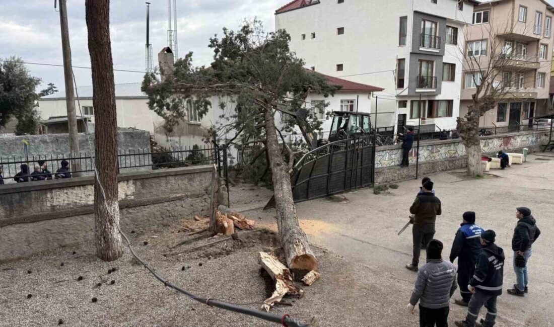 Mustafakemalpaşa Mahallesi’nde etkili olan şiddetli lodos, İznik ilçesindeki bir ilkokul