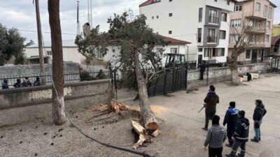 Mustafakemalpaşa Mahallesi’nde etkili olan şiddetli lodos, İznik ilçesindeki bir ilkokul