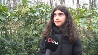 Kartepe ilçesinde bir olay meydana geldi. İstanbul’dan gelen bir grup