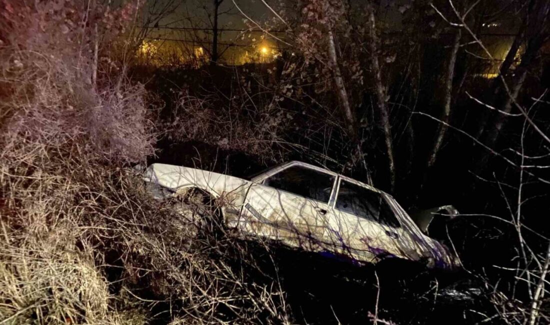 Kastamonu’da meydana gelen bir trafik kazasında bir kişi, otomobilin ağaca
