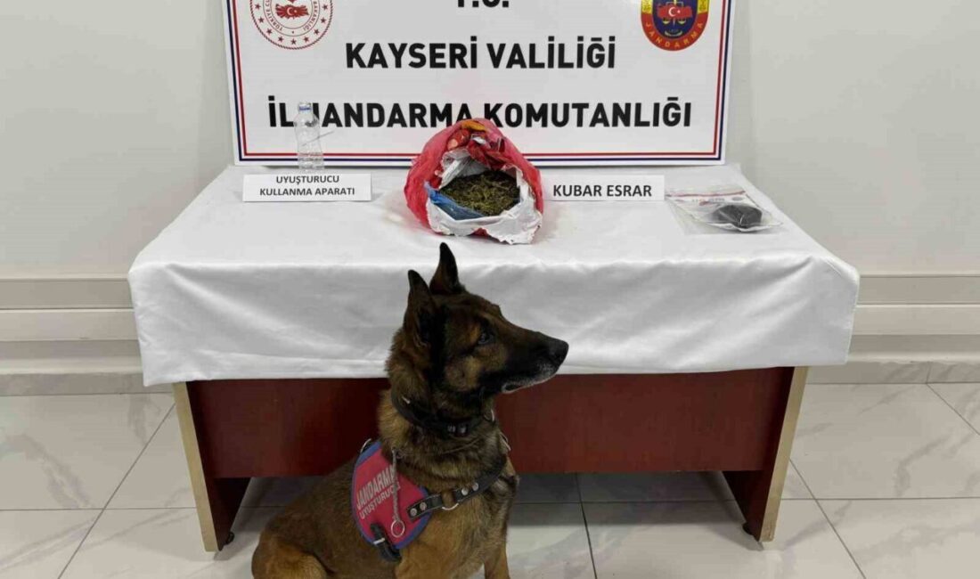 Develi ilçesinde jandarma ekipleri tarafından gerçekleştirilen uyuşturucu operasyonunda 3 şahıs