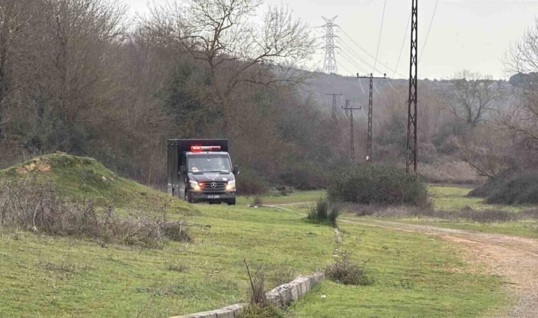 Sakarya ilinde kayıp olan ve Adapazarı ilçesindeki ormanlık alanda ölü