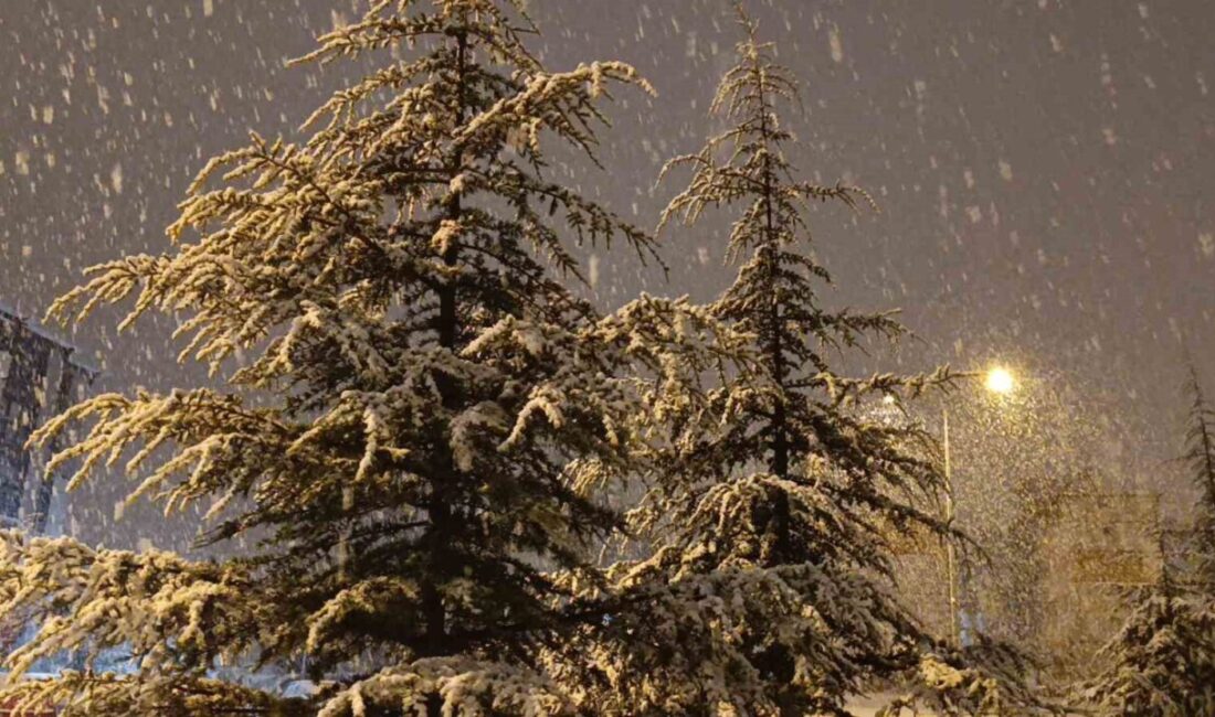 Kırşehir’de gece saatlerinde kar yağışı başladı ve uzun süredir beklenen