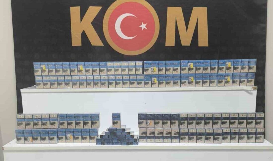 Kırşehir’de gerçekleştirilen bir operasyonda, 380 paket kaçak sigara bulundu. Kırşehir