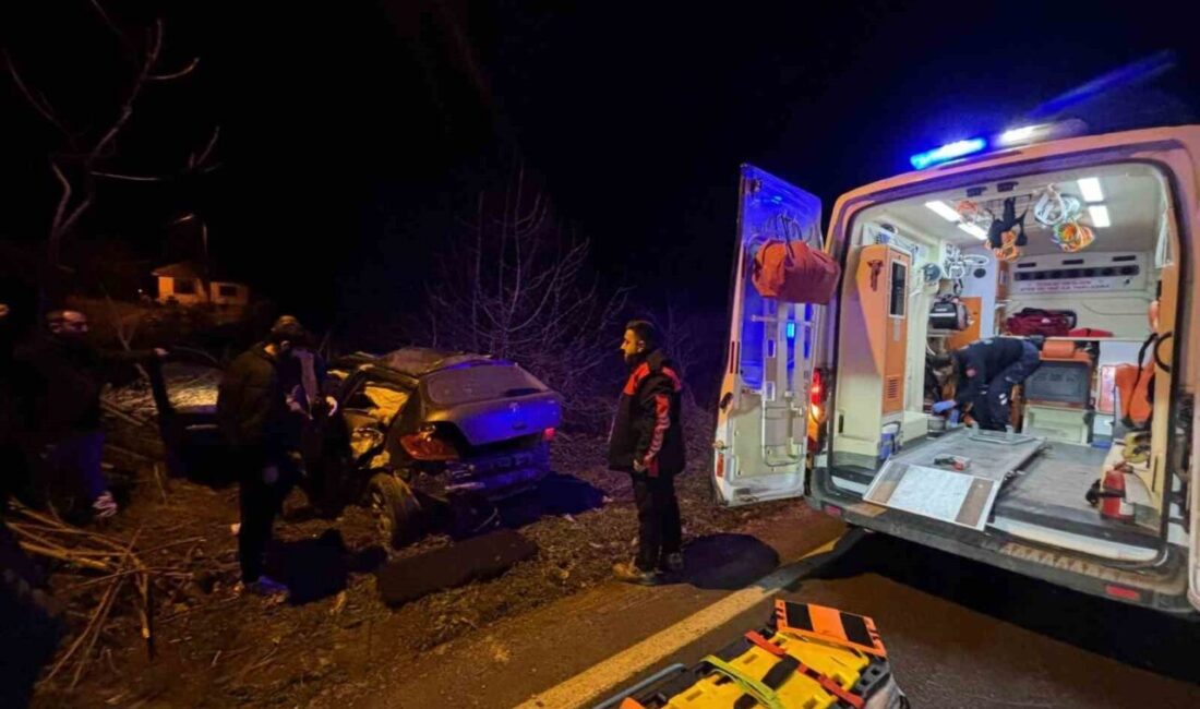 Lüleburgaz ilçesine bağlı Ceylanköy köyü girişinde meydana gelen trafik kazasında