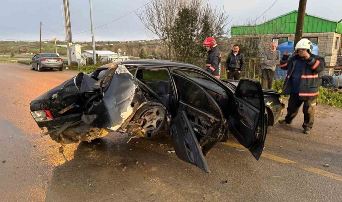 Sakarya ilinde meydana gelen bir olayda, bir otomobil sürücüsü, yola