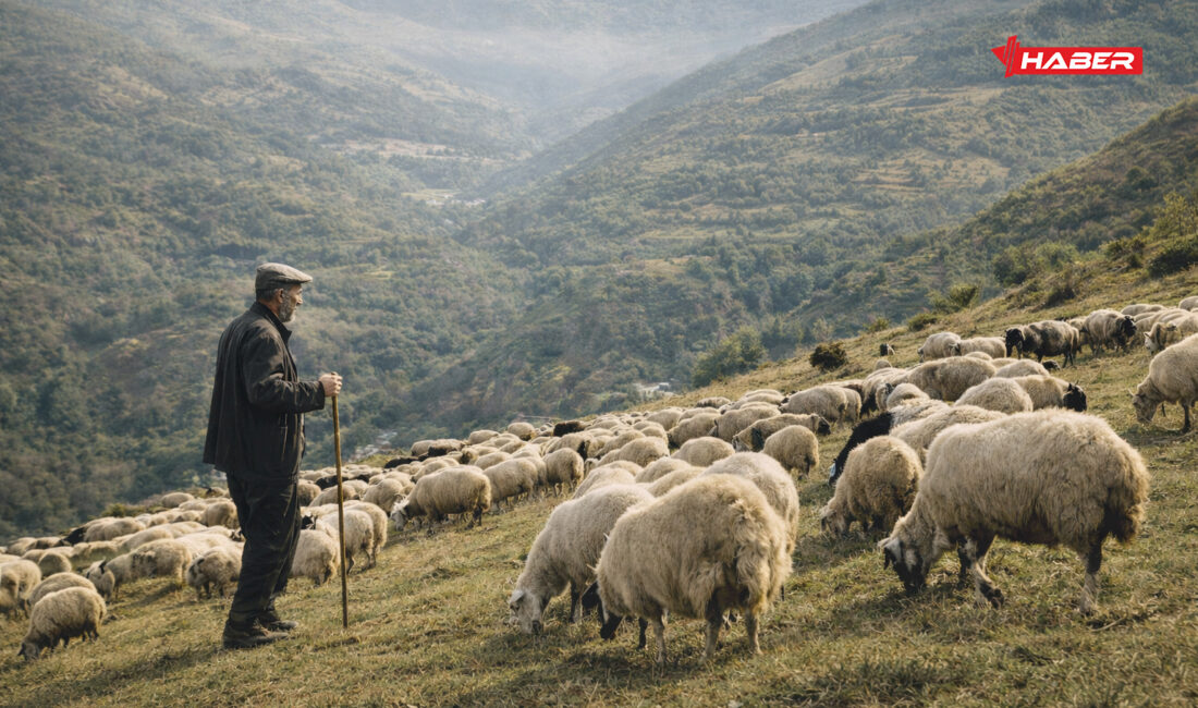 Yozgat genelinde küçükbaş hayvancılığın geliştirilmesi amacıyla yürütülen “Köyümde Yaşamak İçin