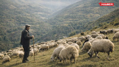 Yozgat genelinde küçükbaş hayvancılığın geliştirilmesi amacıyla yürütülen “Köyümde Yaşamak İçin