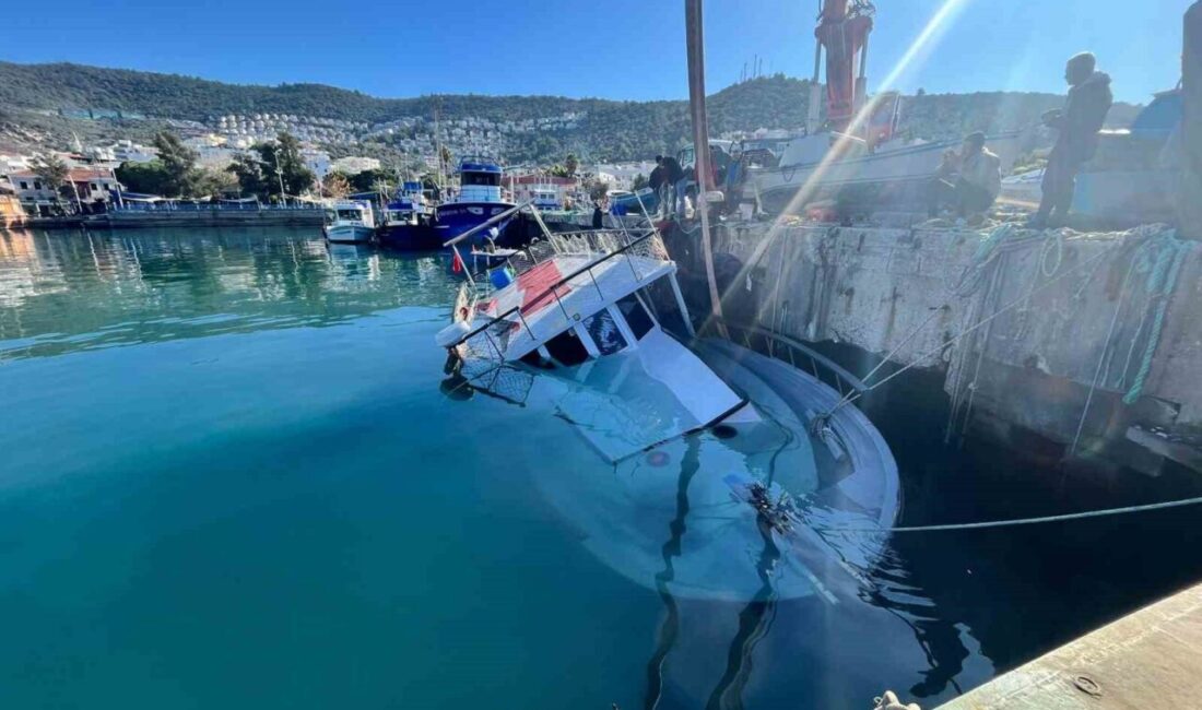Muğla’nın Milas ilçesine bağlı Güllük Mahallesi’nde sert hava koşullarının etkisiyle