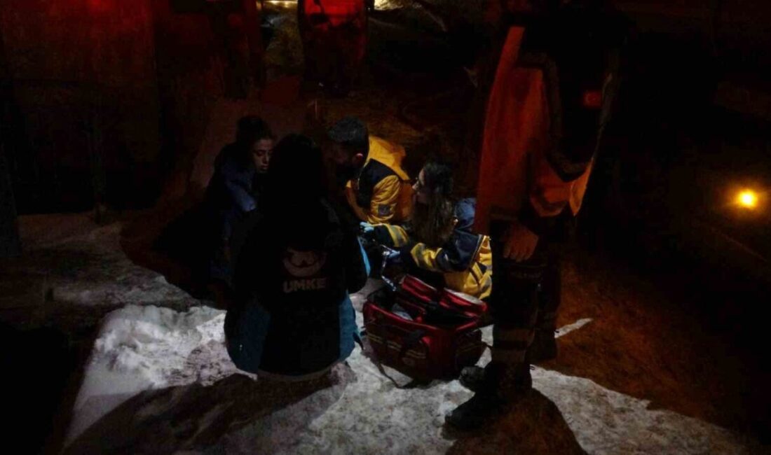 Malatya’nın Battalgazi ilçesindeki Fırat Mahallesi Gelibolu Sokağı’nda bulunan tek katlı