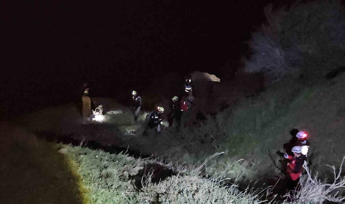 Sarıyer’de bir kadın, mantar toplamak amacıyla öğleden sonra Rumelifeneri’ne gittiği