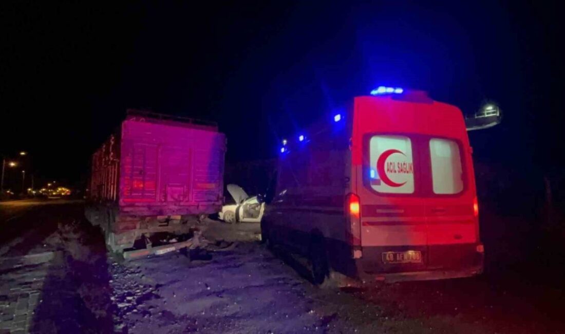 Muğla’nın Menteşe ilçesine bağlı Bayır Mahallesi’nde 25 Aralık tarihinde gerçekleşen